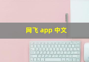 网飞 app 中文